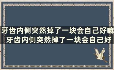 牙齿内侧突然掉了一块会自己好嘛 牙齿内侧突然掉了一块会自己好嘛怎么回事